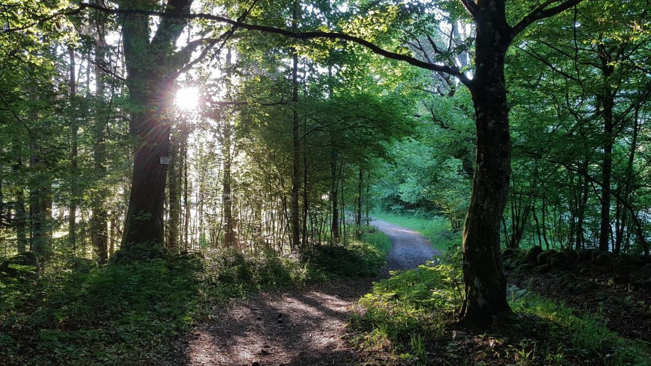 Naturezenkota Mittlach Exterior foto